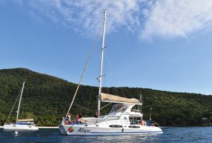 yacht sailing charter