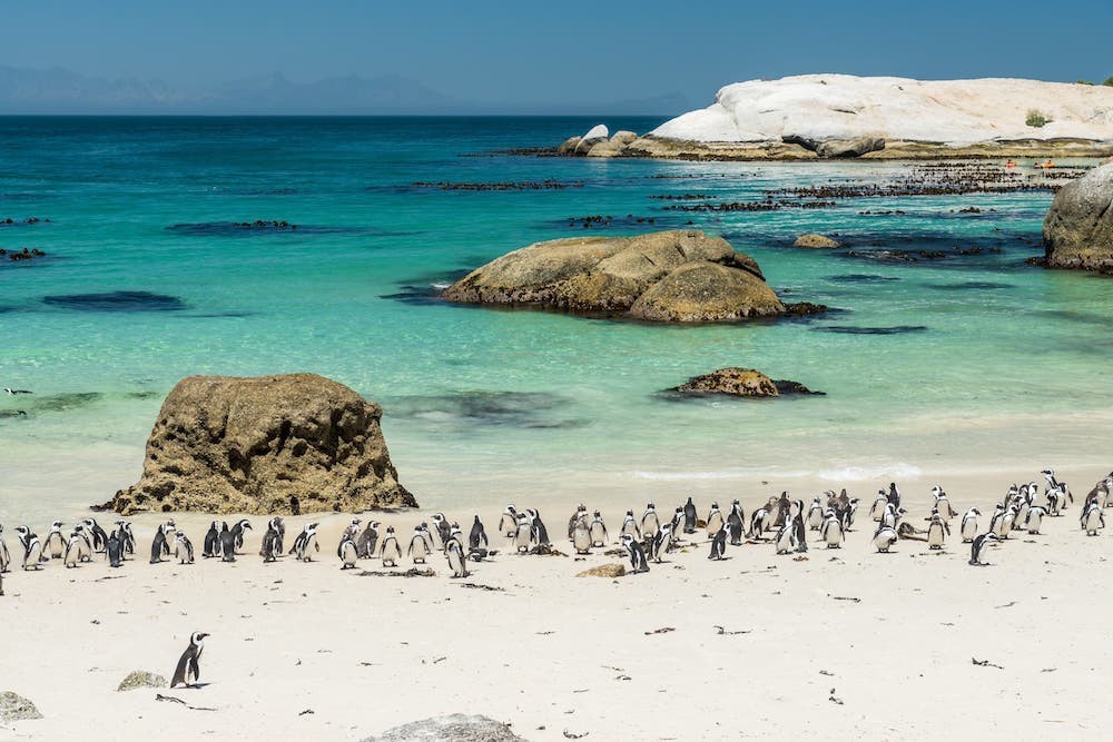 south african adventure, Best places to visit in December